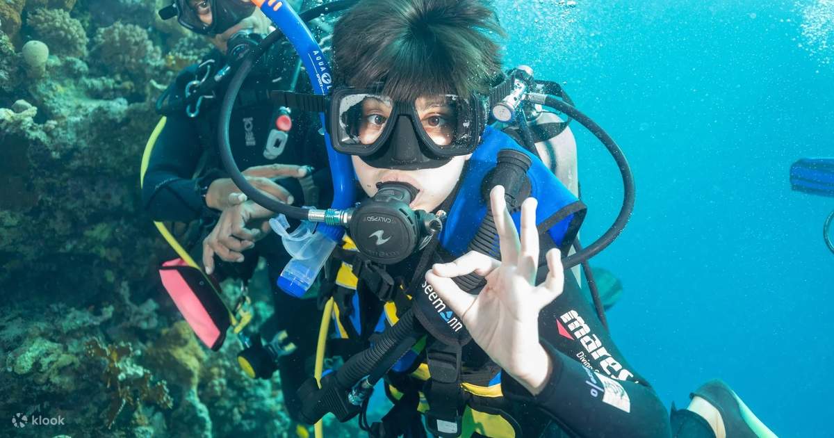 Dive into the PADI Open Water Diver Course in Sharm ElSheikh with a